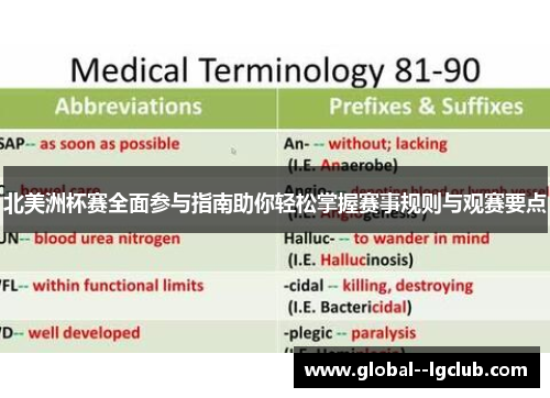 北美洲杯赛全面参与指南助你轻松掌握赛事规则与观赛要点 北美洲杯赛全面参与指南助你轻松掌握赛事规则与观赛要点