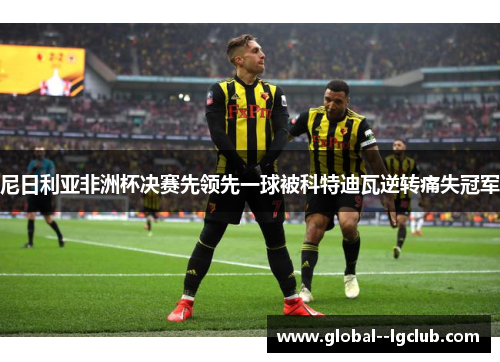 尼日利亚非洲杯决赛先领先一球被科特迪瓦逆转痛失冠军