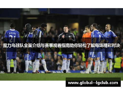魔力鸟球队全面介绍与赛事观看指南助你轻松了解每场精彩对决